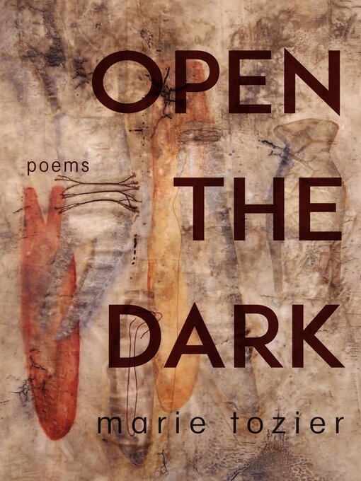 Cover image for Open the Dark